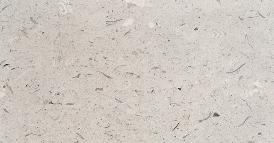 Portland stone coombefield shelly whitbed