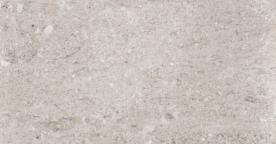 Portland stone perryfield shelly whitbed